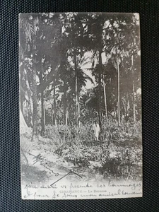 CPA CASAMANCE - La Brousse - Imagen 1 de 2