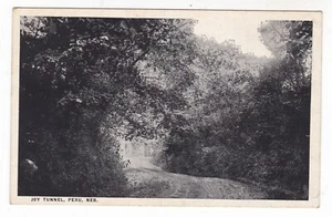 1925 PERU NEBRASKA JOY TUNNEL DIRT ROAD LOVERS LANE VINTAGE POSTCARD NE WYMORE ! - Picture 1 of 2
