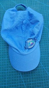 Disney Vacation Club Blue Cap - Picture 1 of 1