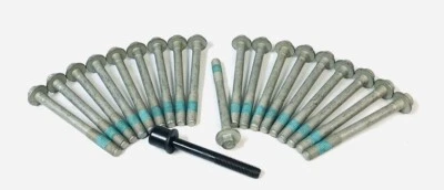 Head Bolts 2014-23  Chevy Gen V L83 L86 LT1 LT4 L82 L87 L84 L8T L8B 5.3L 6.2L - Image 1 of 4