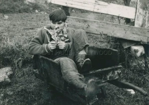 LES CARABINIERS  1963 PHOTO ORIGINAL  JEAN-LUC GODARD - Imagen 1 de 2