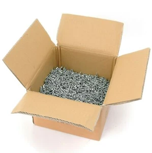 Hafele 010.33.967 Zinc-Plated Steel Pan Head #2 Phillips Drive Screws, 5000 ct. - Picture 1 of 3