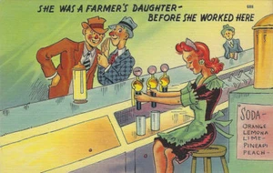 Vintage Americana Post Card Linen Humor 1940's Blank No Postage Farmers Daughter - Picture 1 of 2