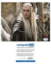 Lee Pace "The Hobbit" AUTOGRAPH Signed 'Thranduil' 8x10 Photo C ACOA