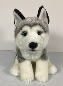 Toys R Us Husky Plush 10" Sitting Dog Realistic 2012 Frosted Gray Geoffrey Stuff - Picture 1 of 14