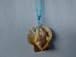 Boho Seashell Pendant Necklace 26" Women's Jewelry US Seller Gift - Picture 1 of 8