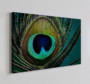 Colourful Peacock Feather Canvas Print Wall Art, Modern Home Decor Wall Hanging - Picture 1 of 10