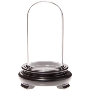 Plymor 2" x 4" Mini Glass Display Dome Cloche (Black Wood Veneer Footed Base) - Picture 1 of 1