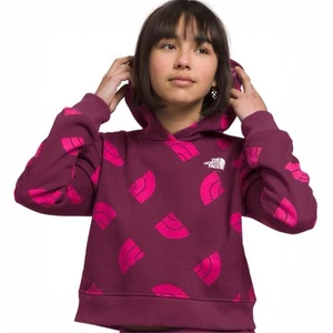 The North Face Girls' Camp Fleece Pullover Pink Burgundy Hoodie Large or 12 #206 - Picture 1 of 12