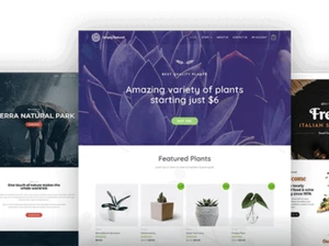 Amazon or Ebay Affiliate Wordpress Store - Picture 1 of 4