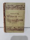 Neighbors With Wings and Fins by James Johonnot 1885 Illustrated
