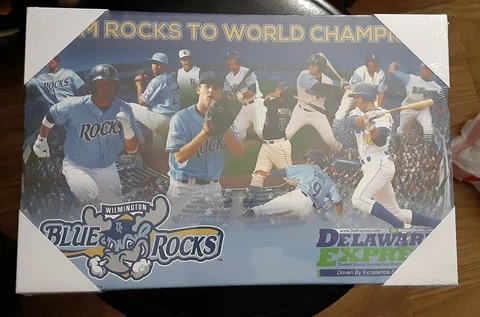 Wilmington Blue Rocks Sealed SGA 2015 World Series Canvas collage Royals poster Cover