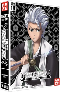 Bleach-Saison 4 : Box 18 : Karakura's Battle, Part 2 - Picture 1 of 1