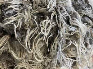5+lbs Wool Navajo Churro ewe Whole fleece spinning weaving prim witch hair raw - Picture 1 of 9