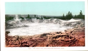 The Paint Pot, Yellowstone National Park Detroit Photographic Undivided Postcard - Picture 1 of 2