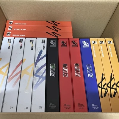 Stray Kids Album Bundle CDs K-Pop SKZ K-pop Usato senza foto solo album - Immagine 1 di 3