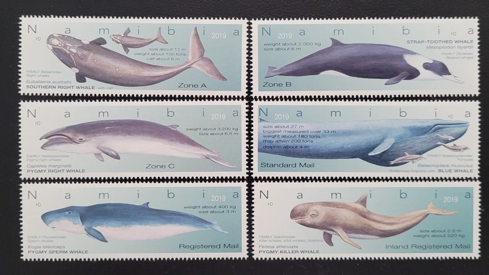 Namibia 2019 / Vida Marina - Ballenas / Juego 6v Foto 1 de 1