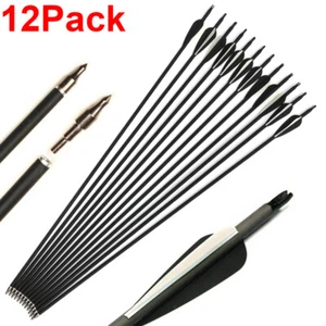 US 12Pcs 30 inch Fiberglass Arrows OD8mm Spine 500 Achery Bow For Hunting Target - Picture 1 of 14