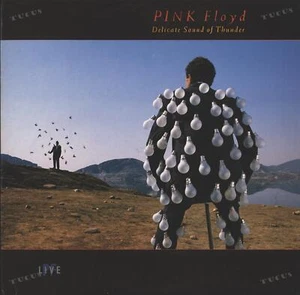 Pink Floyd - Delicate Sound Of Thunder PF Live Yugoslavia 1989 (VG+/VG+) '* - Picture 1 of 2