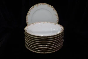 OSCAR & EDGAR GUTHERZ O & EG ROYAL AUSTRIA PINK ROSES GOLD TRIM 11 DINNER PLATES - Bild 1 von 7