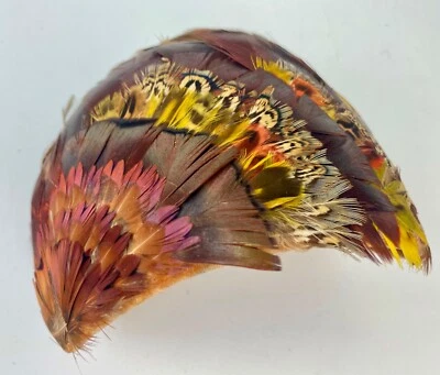 Gorra de plumas vintage años 40 años 50 faisán pavo real Foto 1 de 4