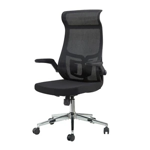 Ergo Office Chair with Adjustable Lumbar Support, Fixed Headrest,Flip-Up Armrest - Picture 1 of 8