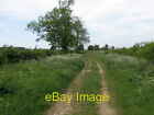 Photo 6x4 Byway going away from Park Spinney Fotheringhay The byway appea c2009