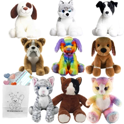 SPLODGE TEDDY PARTIES HUNDE KATZEN PLÜSCHTIER - bauen Sie einen Teddybären Herstellungsset - kein Nähen - 25 cm/10" - Geschenk/Party