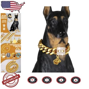Elegant Gold Dog Chain Collar with CZ Buckle - Perfect for Small to Large Dogs - Picture 1 of 9