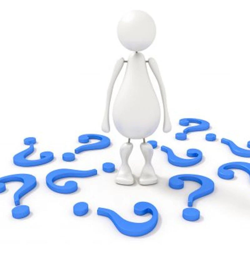 Szechuanpfeffer - Japanischer Pfeffer 40-60cm - Zanthoxylum schinifolium - Bild 1 von 1