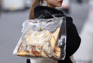 celine pvc bag