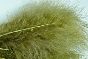 12 x plumes de MARABOU OLIVE 12 a 17 cm montage mouche fly tying feathers - Photo 1/1