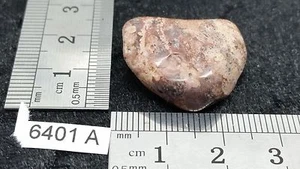 JASPE LEOPARD pierre roulee TOP mineraux lithotherapie reiki collection jasper - Picture 1 of 2