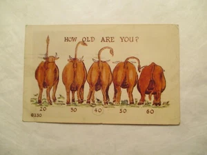 Postcard How old are You Comic - Picture 1 of 2
