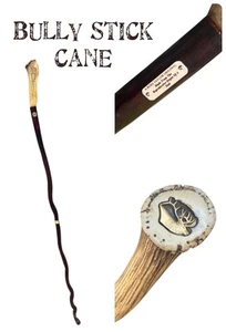 Elk Horn Handle Buffalo Nickel Bully Stick Walking Cane 57" Made from Bull Organ - Picture 1 of 8