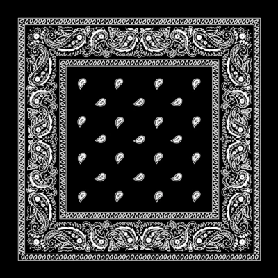 Lot Of 12 Wholesale Paisley Print Bandana 100% Cotton Head Warp Scarf Face Mask - Image 1 of 4