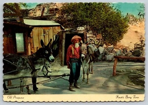 Old Prospector Knott's Berry Farm Vintage Postcard - Picture 1 of 2