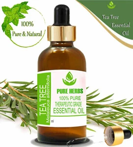 Pure Herbs Tea Tree 100% Rein & Natürlich Melaleuca alternifolia Essential Oil - Bild 1 von 11