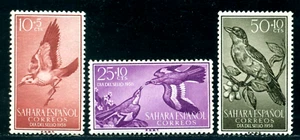 1958 Stamp day,Birds,Greater hoopoe-lark,bird feeding,Spanish Sahara,Mi.184,MNH - Picture 1 of 2