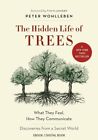 Peter Wohlleben - The Hidden Life Of Trees