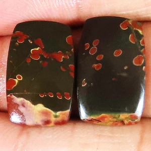 17.50 Ct Natural Chery Creek Jasper Pair Cushion Shape Gemstone 11x19x3 mm NF765 - Picture 1 of 6