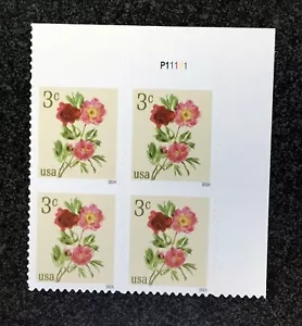 2024USA #5899 3c Peonies - Plate Block of 4 Mint NH flower - Picture 1 of 4