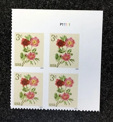 2024USA #5899 3c Peonies - Plate Block of 4  Mint NH    flower - Image 1 of 4