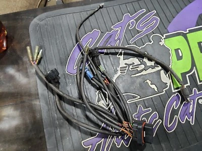 Arnés de cableado Arctic Cat CDI 02-05 # 3005-975 ZR 800 900 Mountain Cat King Cat Foto 1 de 4