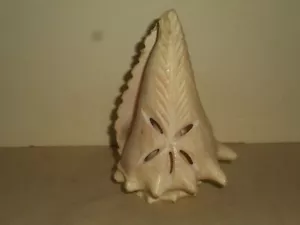 Vintage handgeschnitzte Muschel Muschel Skulptur Maritim Volkskunst Schnitzerei - Bild 1 von 12