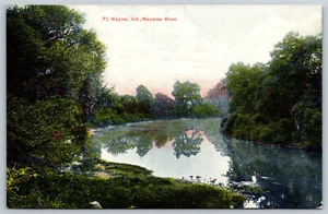 Postcard Maumee River Fort Wayne, IN B17 - Picture 1 of 2