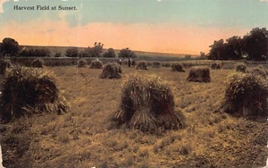 Antique Postcard Harvest Field at Sunset - Picture 1 of 2