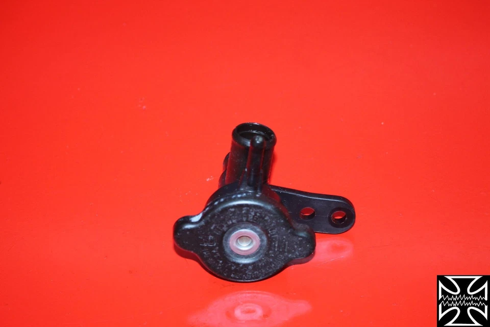 Tapa radiador Kawasaki Ninja 250R 2012 12 Foto 1 de 1