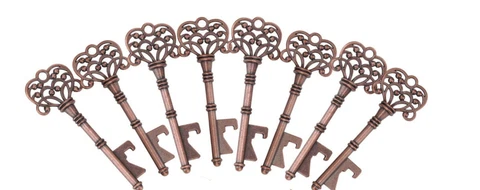 Antique Skeleton Keys Copper Alice in Wonderland Cabinet Key Lock Lot of 10 Cover