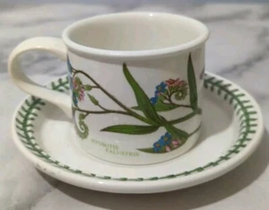 Taza y platillo Portmeirion Jardín Botánico Forget-Me-Not Susan William Ellis 1972 - Imagen 1 de 10